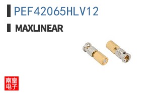 PEF42065HLV12